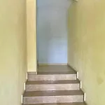 Kiara * גולם